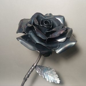 Rosa de hierro